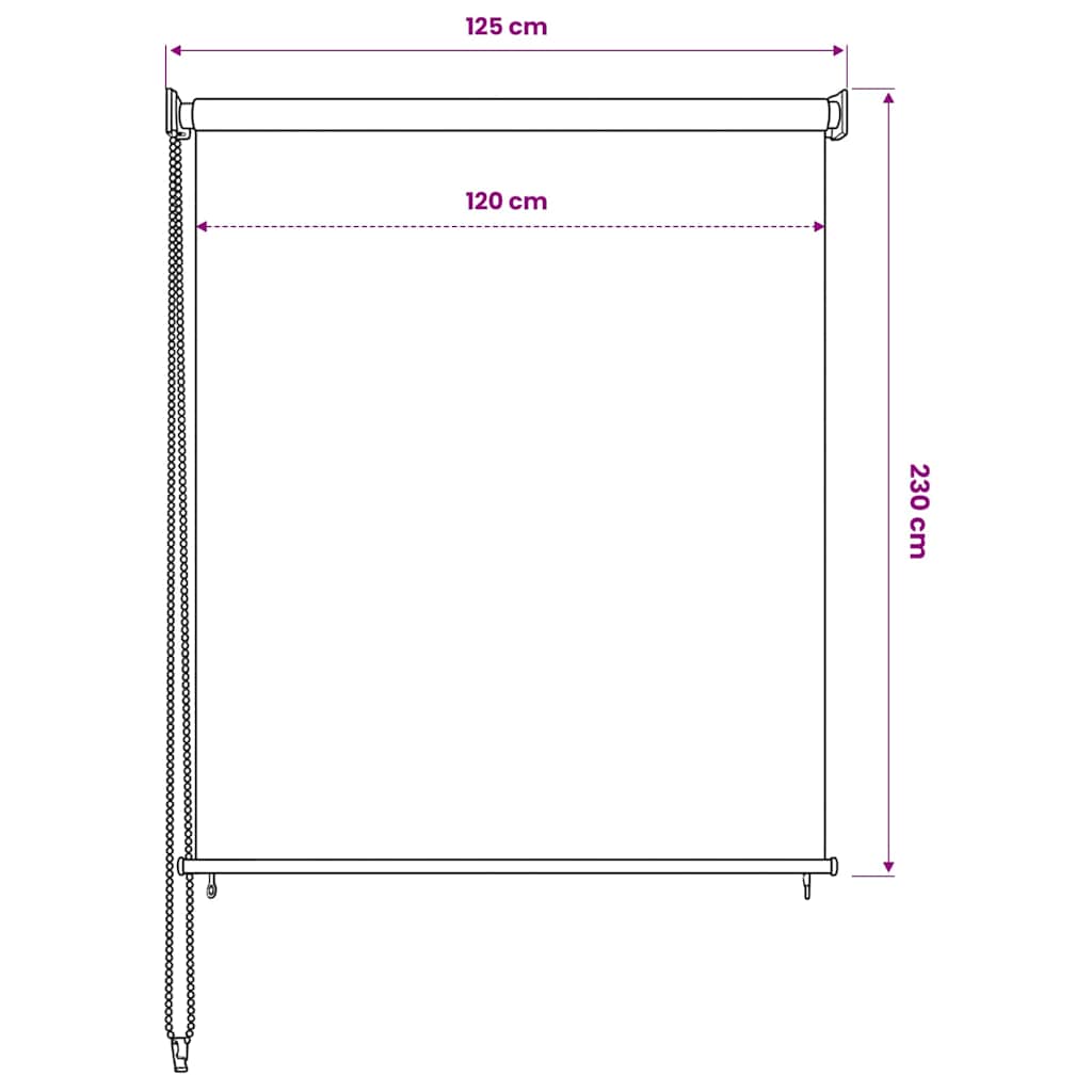udendørs rullegardin 125 (B) x 230 (H) cm antracitgrå