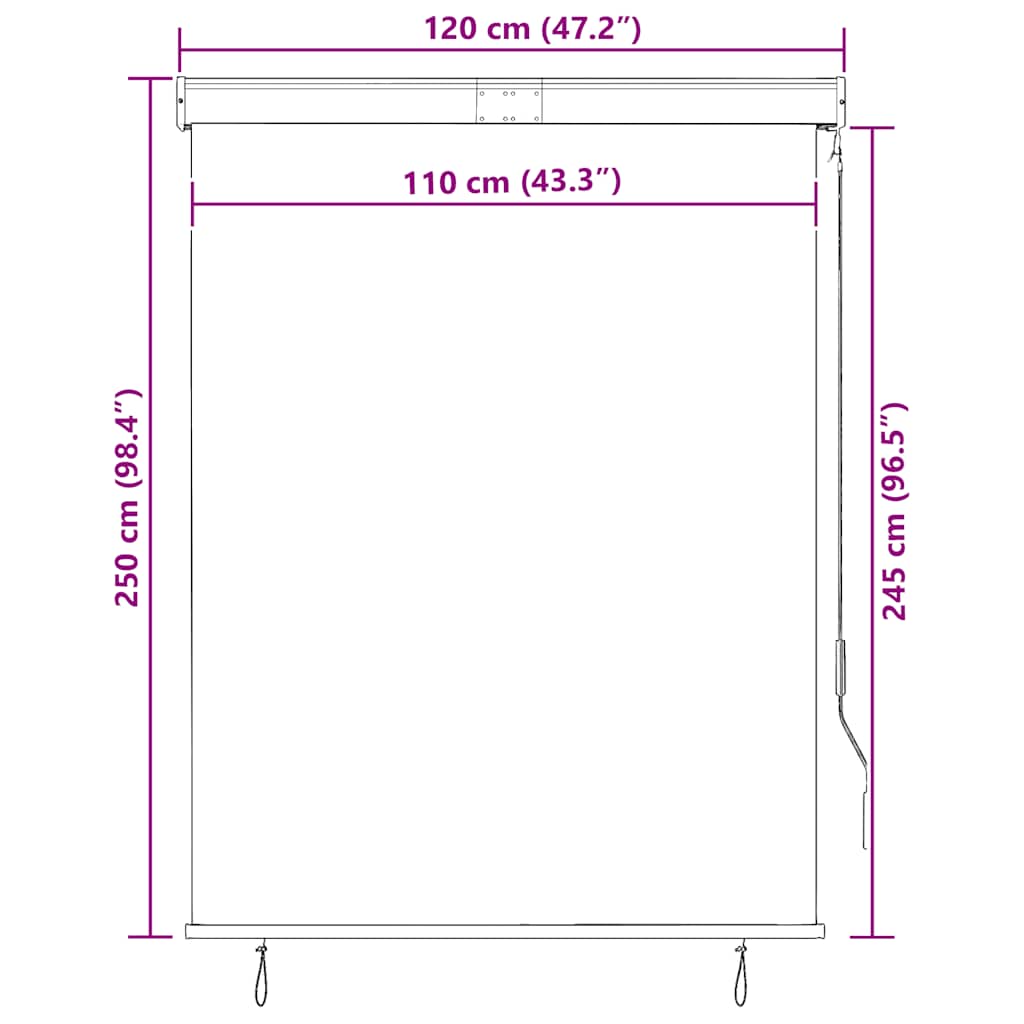 udendørs rullegardin 120x250 cm antracitgrå