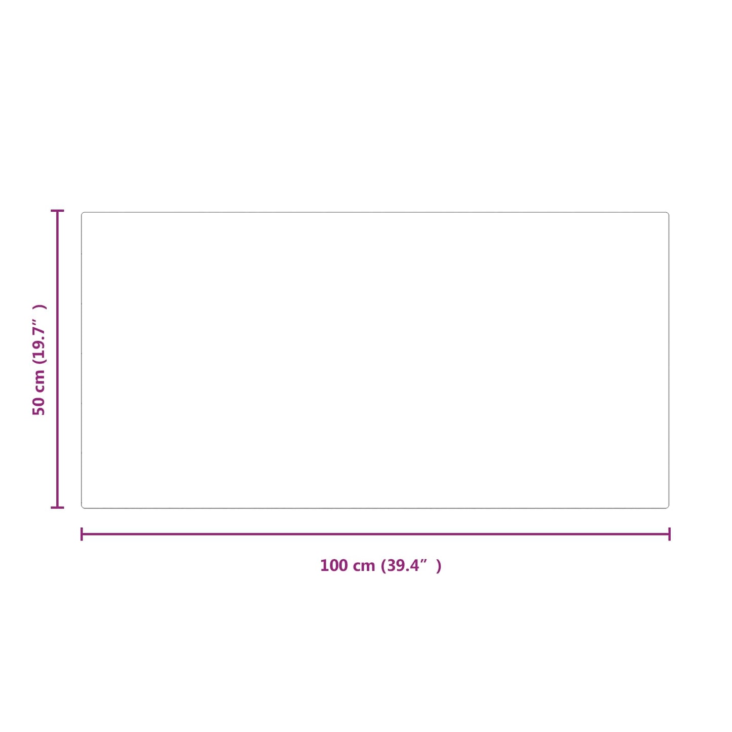 Pejs glasplade Transparent 100 x 50 cm Glas