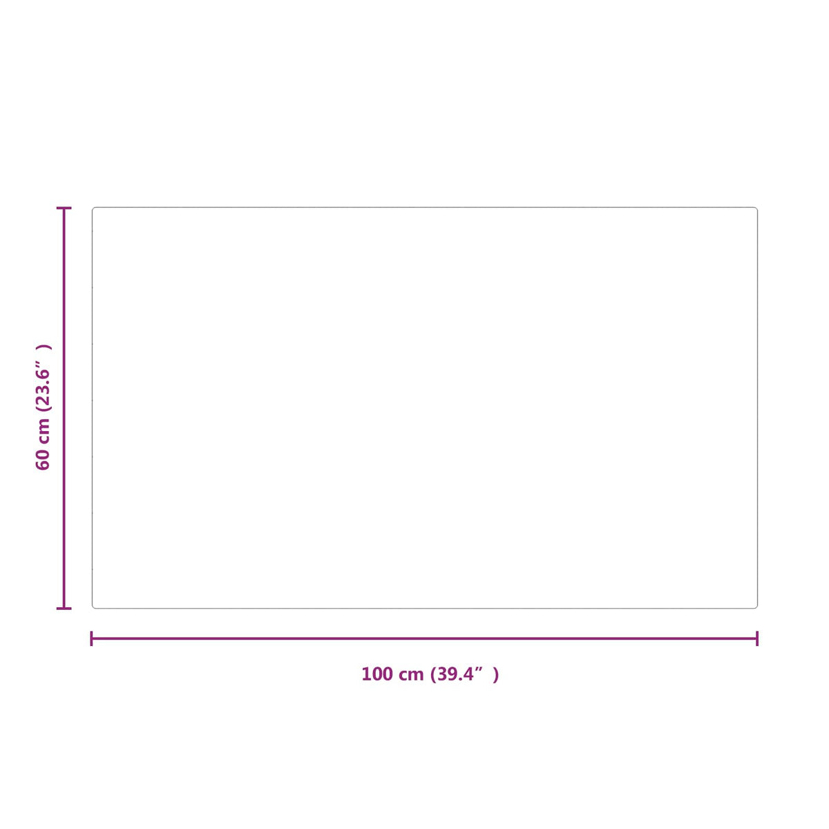 Pejs glasplade Transparent 100 x 60 cm Glas