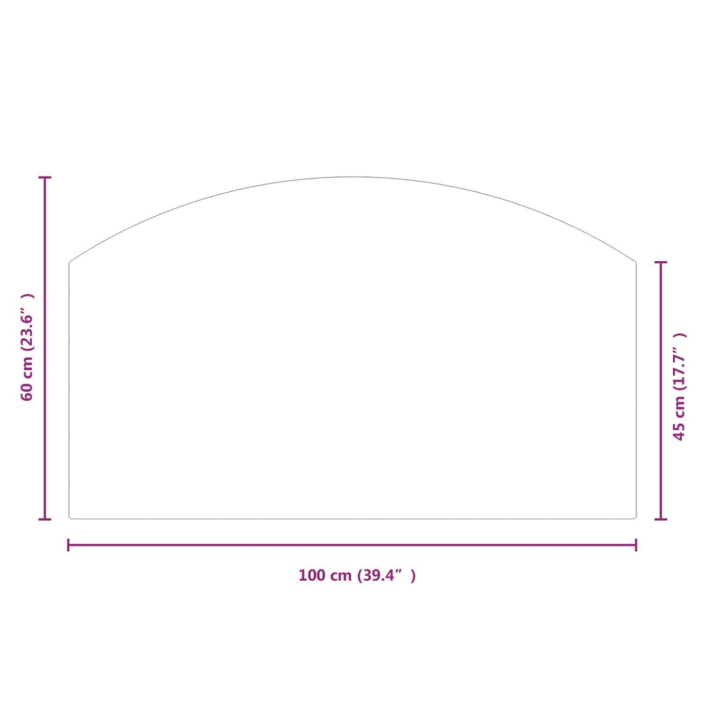 Pejs glasplade Transparent 100 x 60 cm Glas