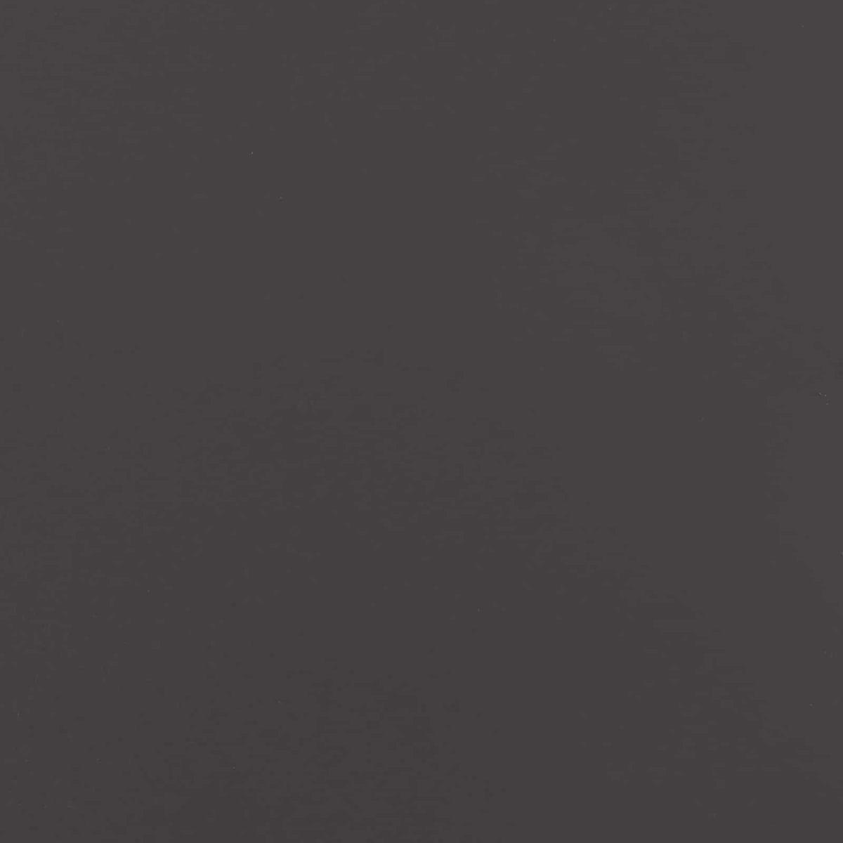 Have privatliv skærm Fretwork Sort 32 x 140 cm Koldvalset stål