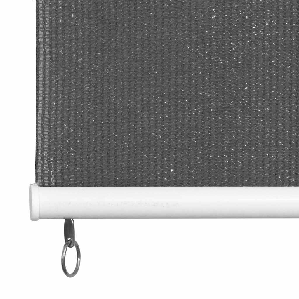 udendørs rullegardin 225 (B) x 230 (H) cm antracitgrå