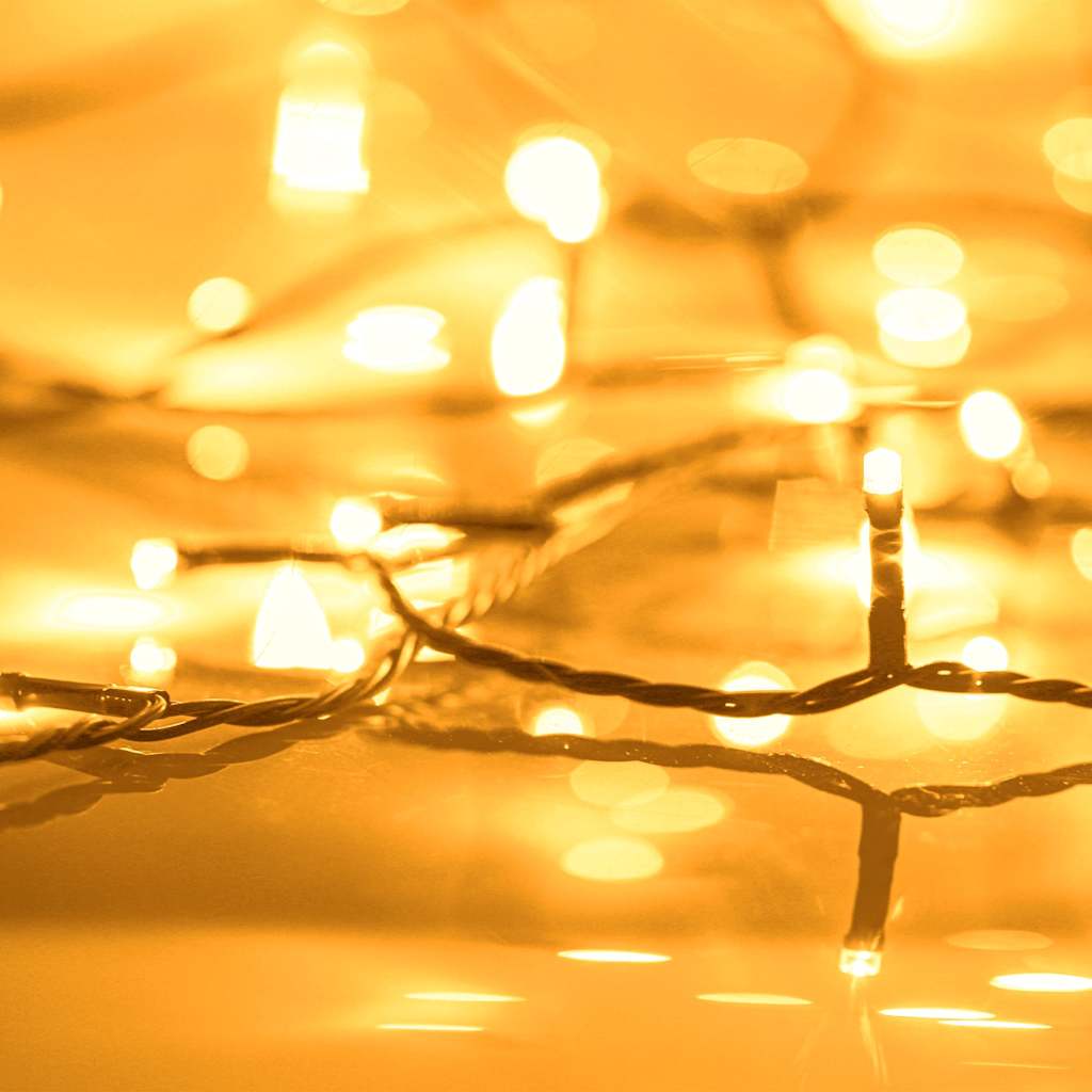 Lyskæde med 1000 LED'er 100 m 8 lyseffekter IP44 varm hvid