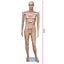 mannequin mand A