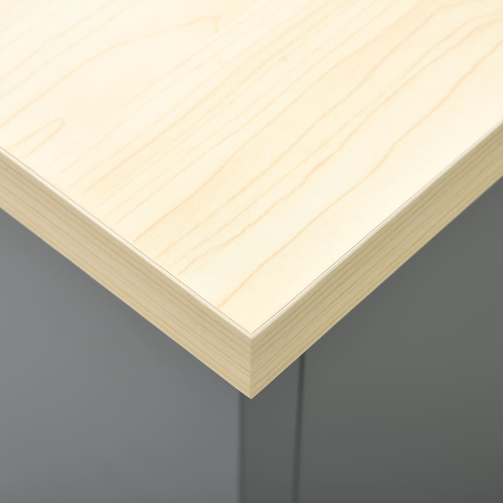 arbejdsbord 120x60x85 cm stål sort