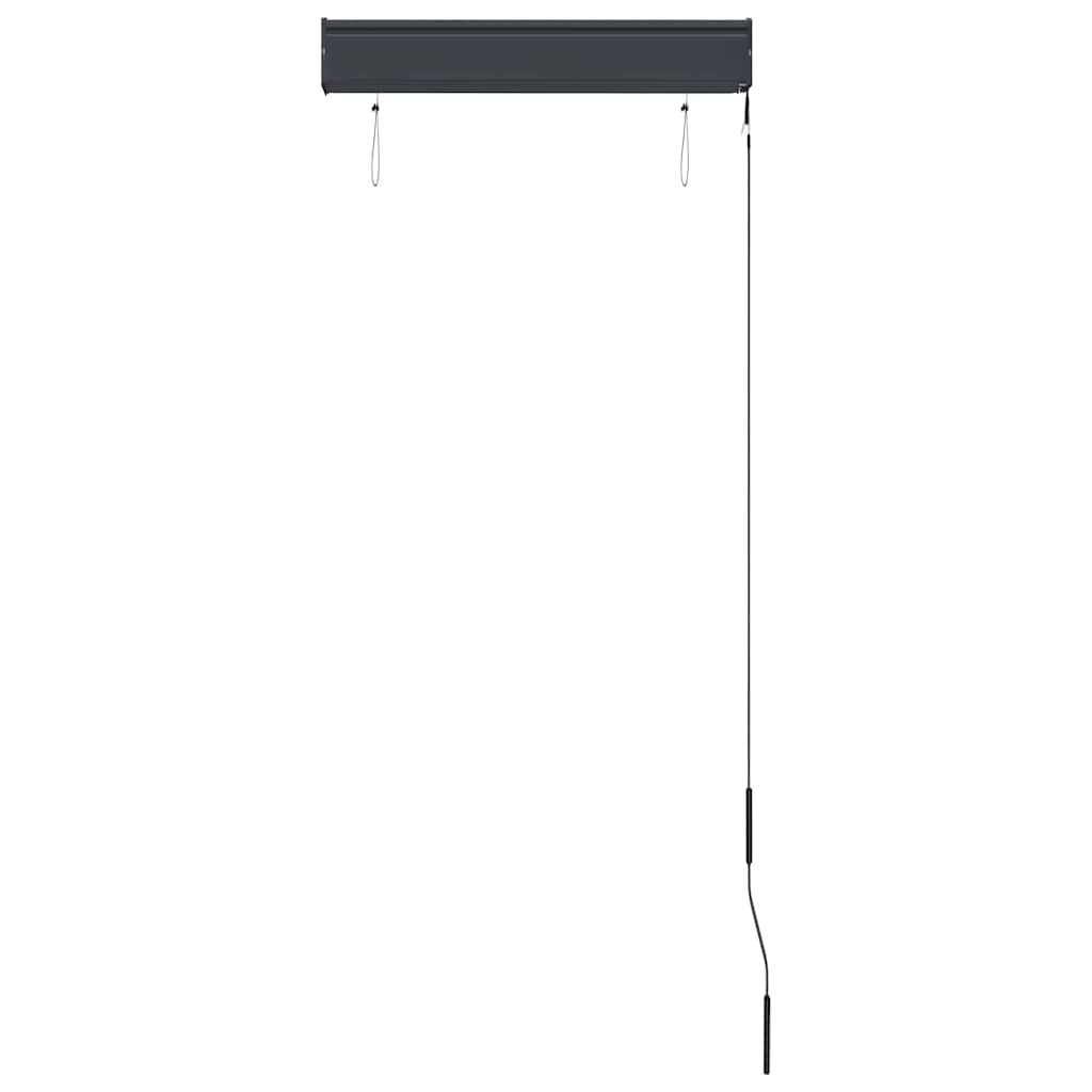udendørs rullegardin 60x250 cm antracitgrå