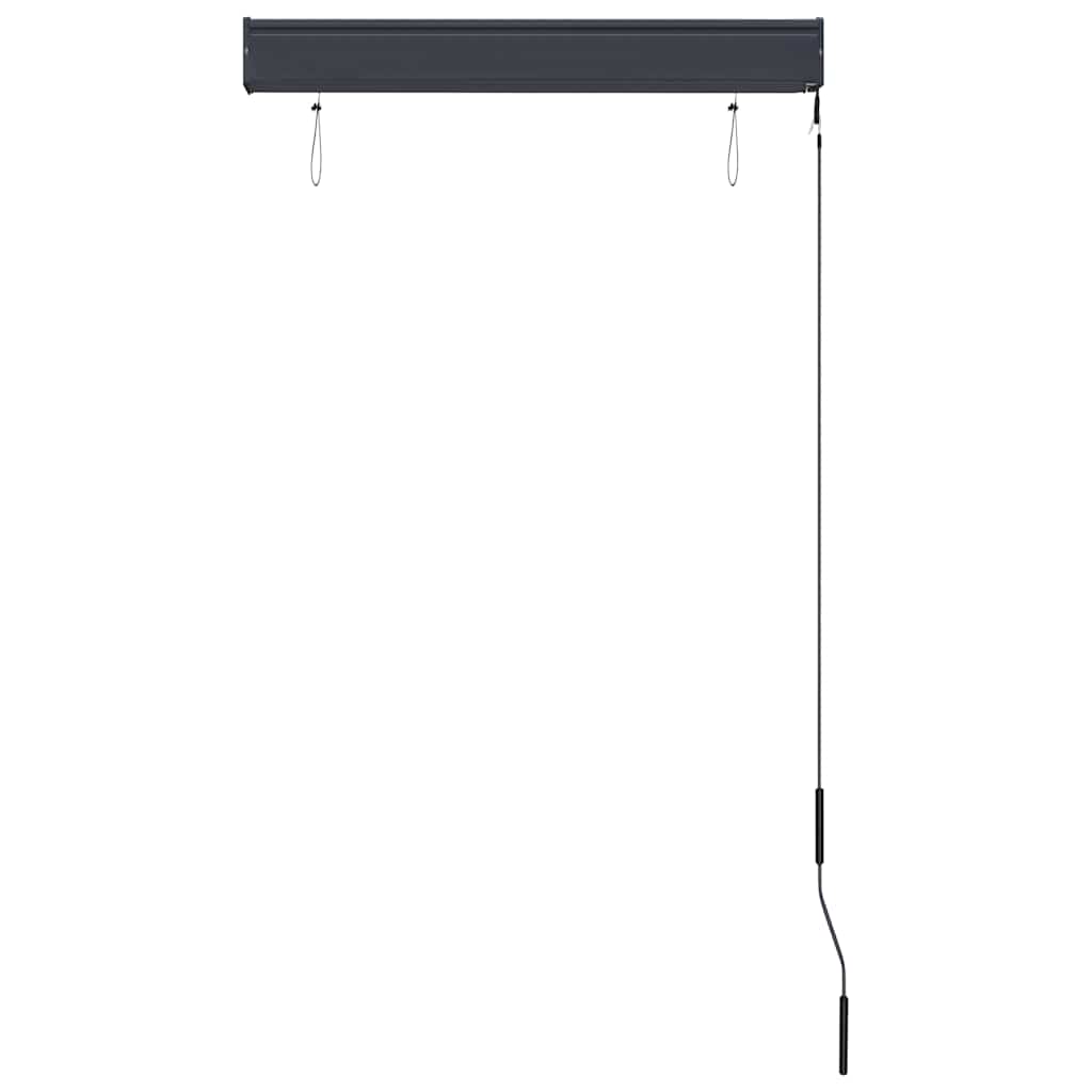 udendørs rullegardin 80x250 cm antracitgrå