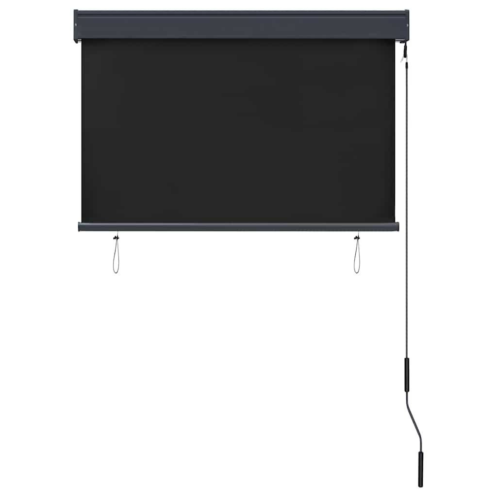 udendørs rullegardin 100x250 cm antracitgrå