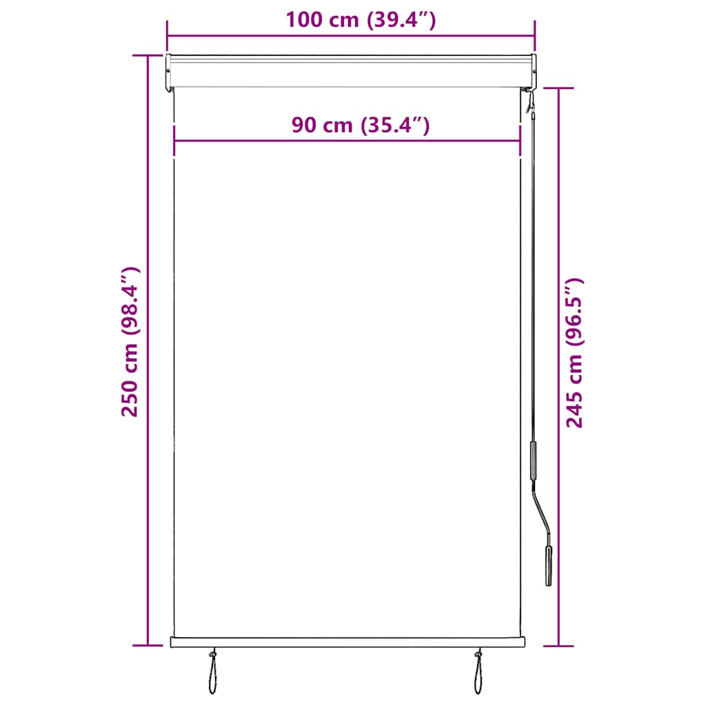 udendørs rullegardin 100x250 cm antracitgrå