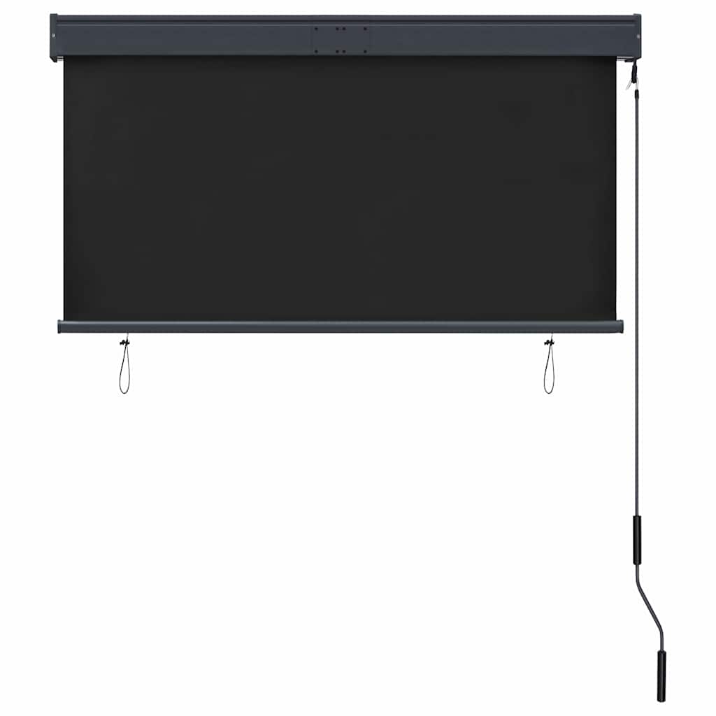 udendørs rullegardin 120x250 cm antracitgrå