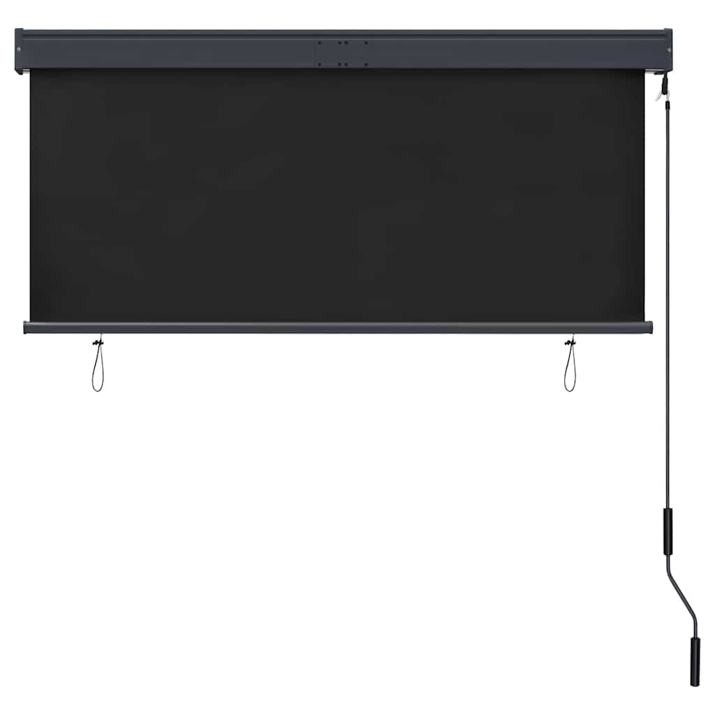 udendørs rullegardin 140x250 cm antracitgrå