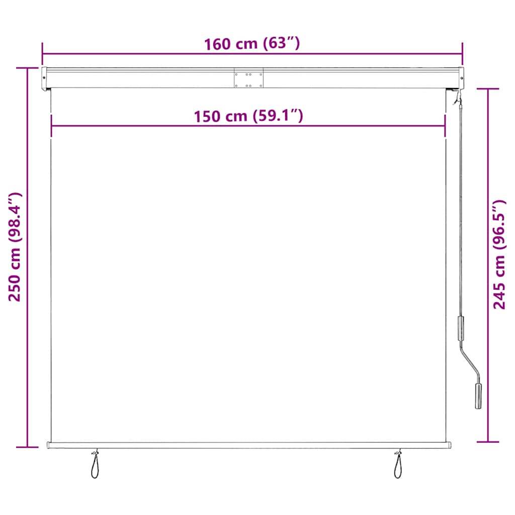 udendørs rullegardin 160x250 cm antracitgrå