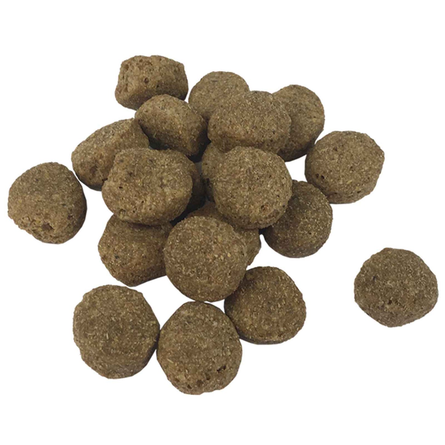 Fodringsstativ og skål med hundefoder Sølv og Sort 57,5 x 26 cm