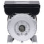 enfaset elektrisk motor 1,5 kW/2 hk 2-polet 2800 omdr./min