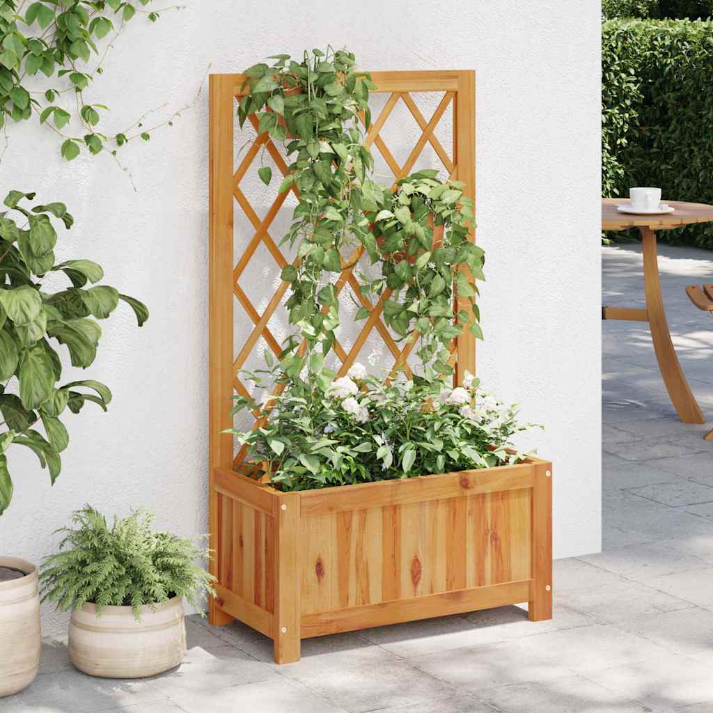 forhøjet plantekasse med espalier massivt akacietræ