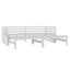 daybed med udtræk 2x(90x200) cm massivt fyrretræ hvid