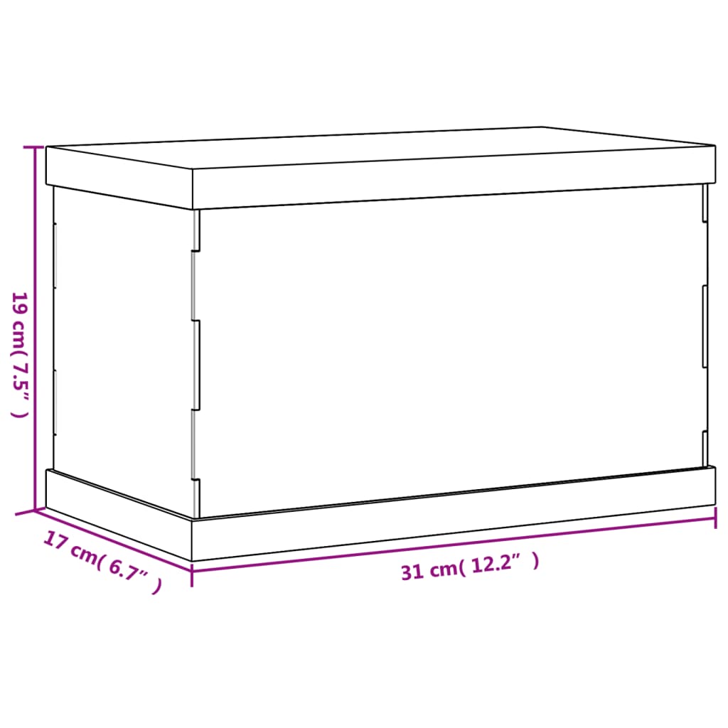 montre 31x17x19 cm akryl transparent