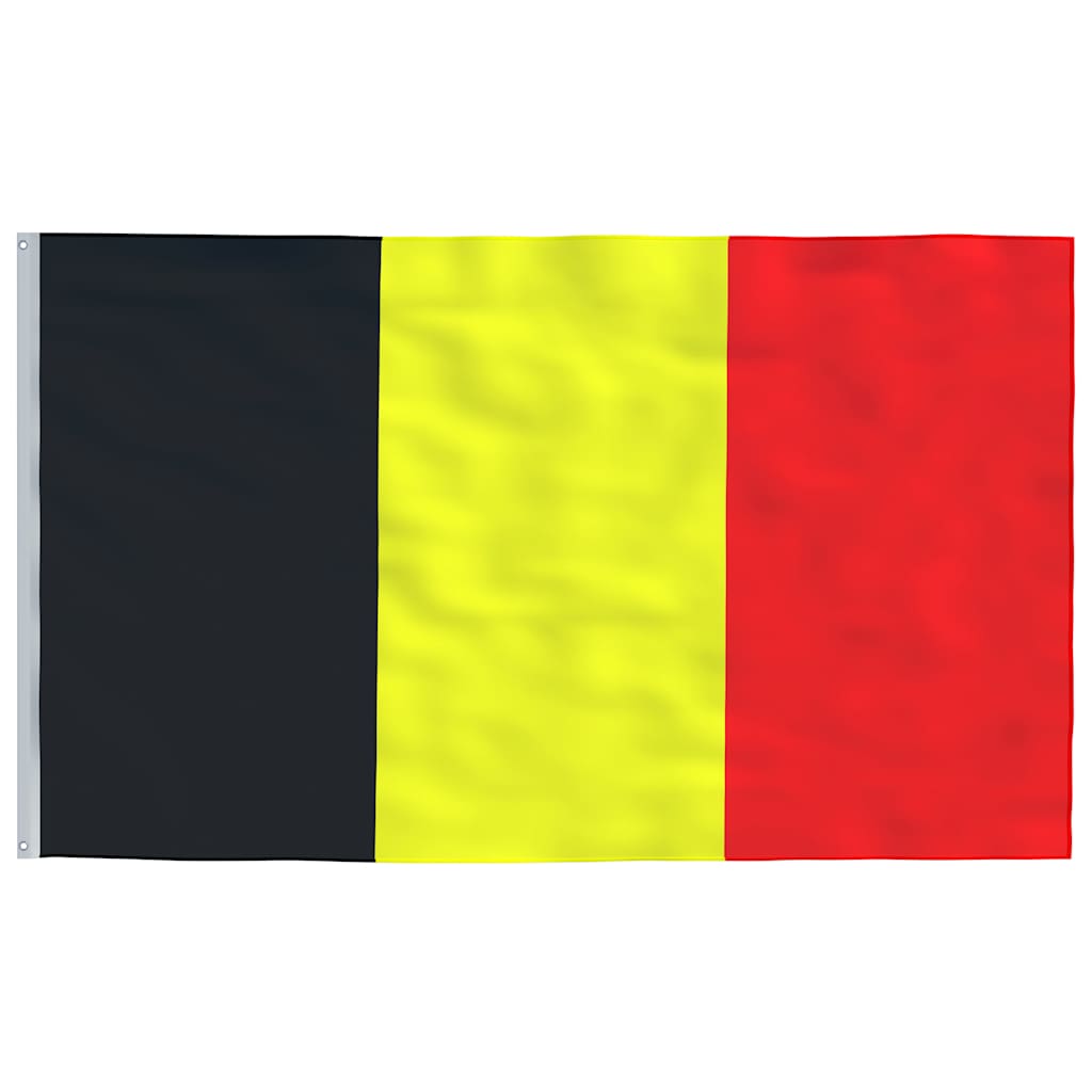 Belgien flag og flagstang 6,08 m aluminium
