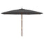 haveparasol med træstang 400x273 cm antracitgrå