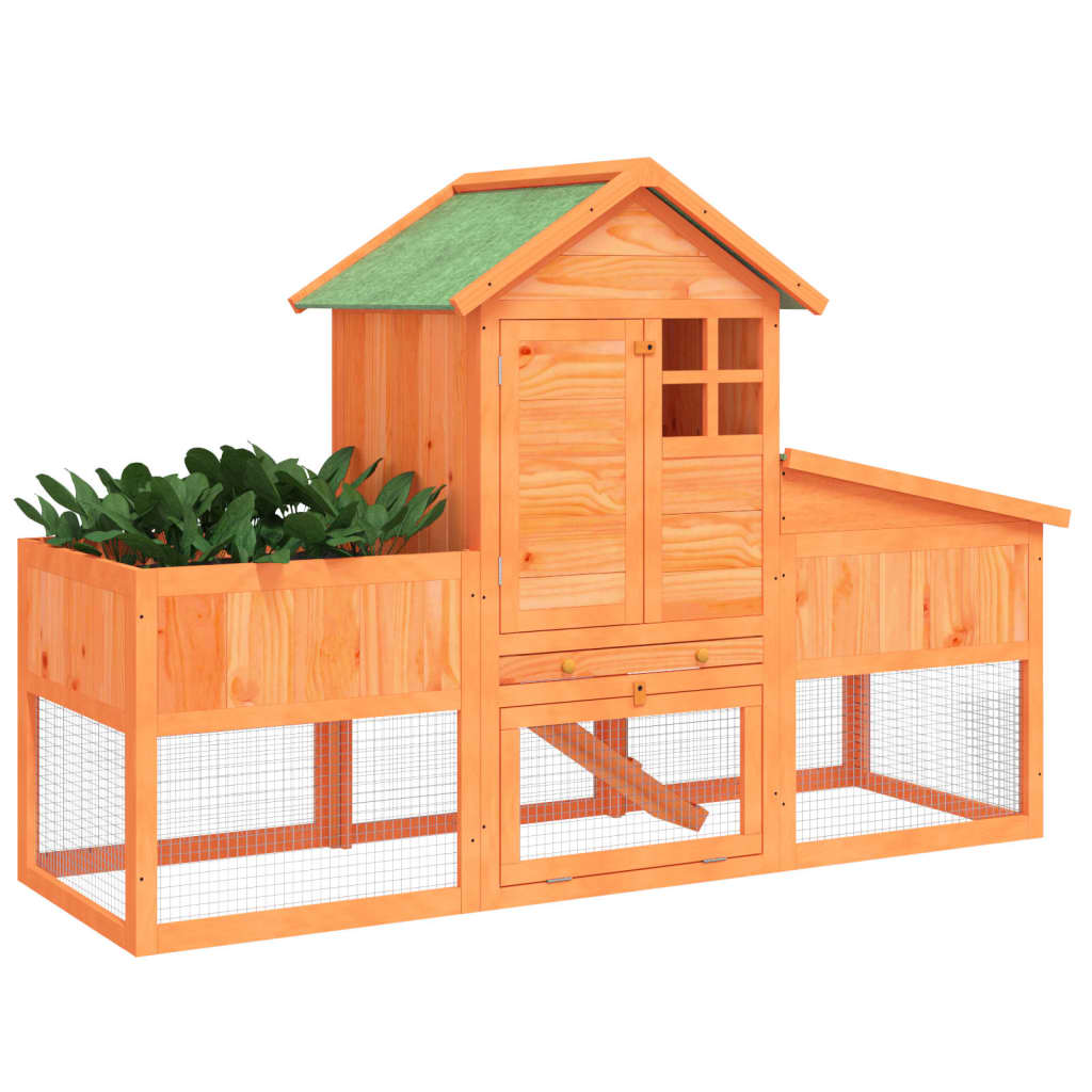 kaninbur 170x63x113 cm massivt fyrretræ brun