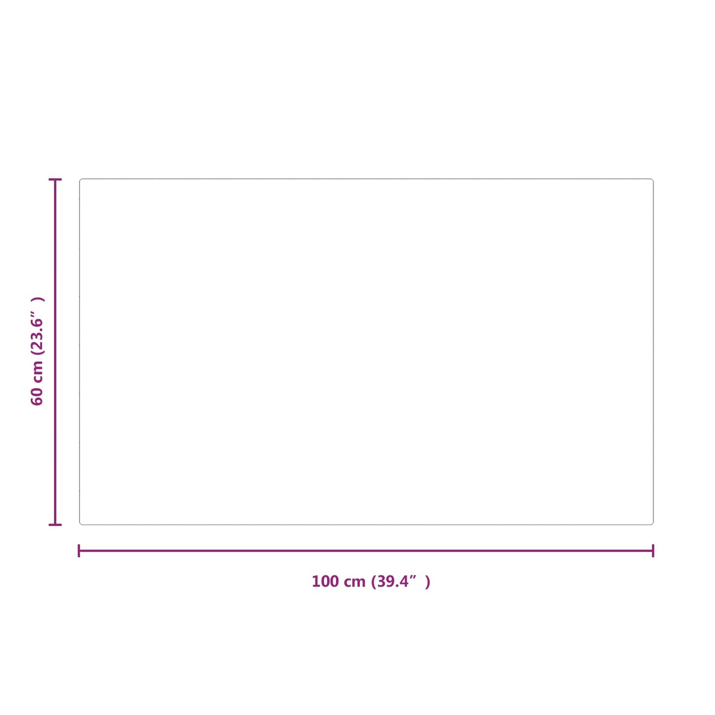Pejs glasplade Transparent 100 x 60 cm Glas