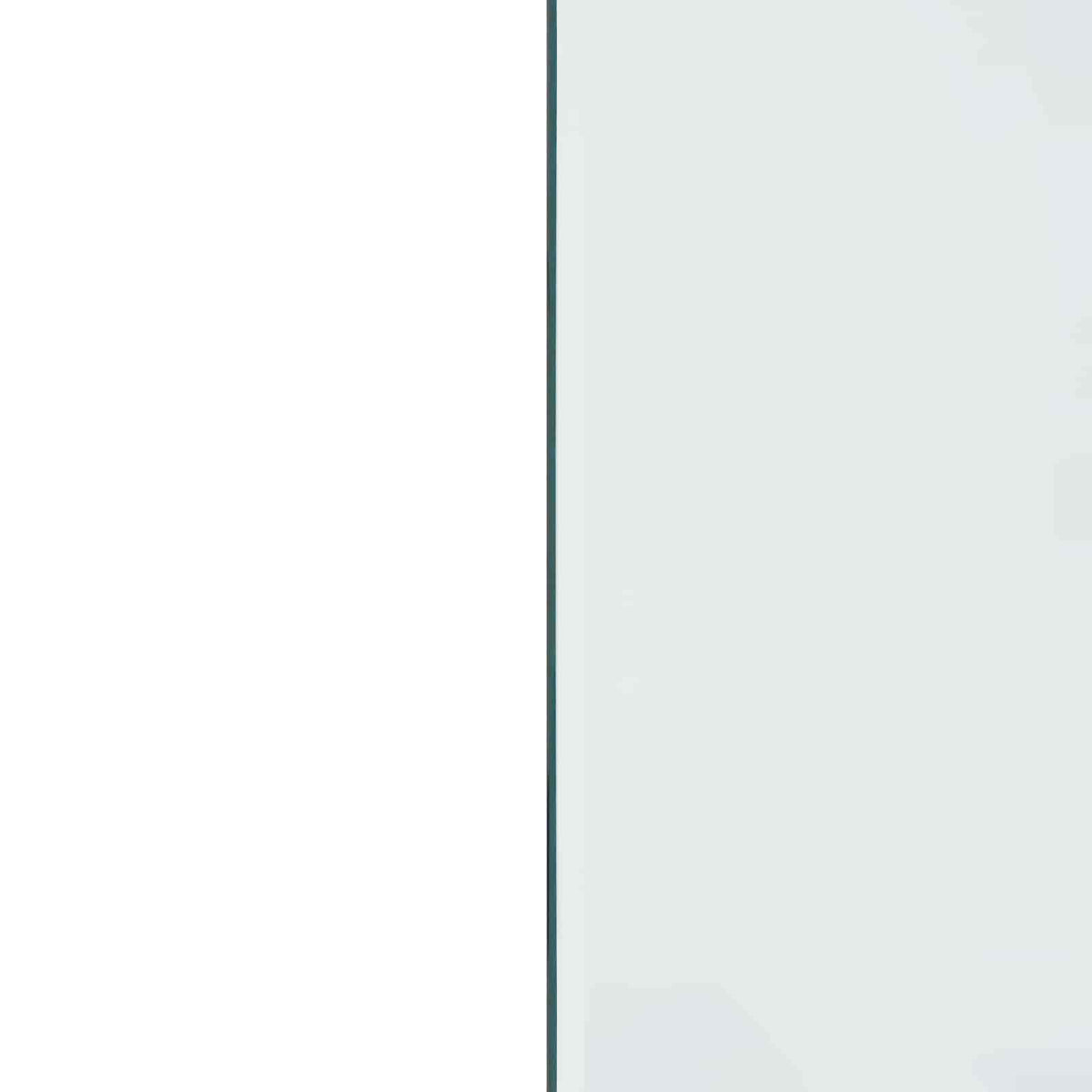 Pejs glasplade Transparent 100 x 50 cm Glas