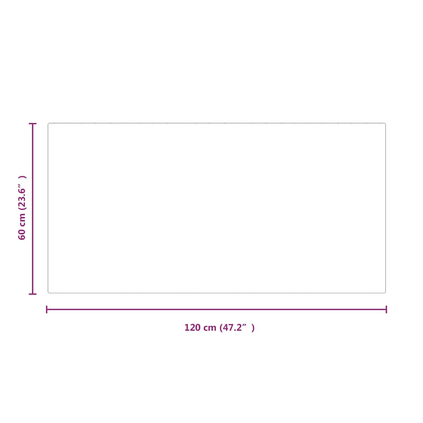 Pejs glasplade Transparent 120 x 60 cm Glas