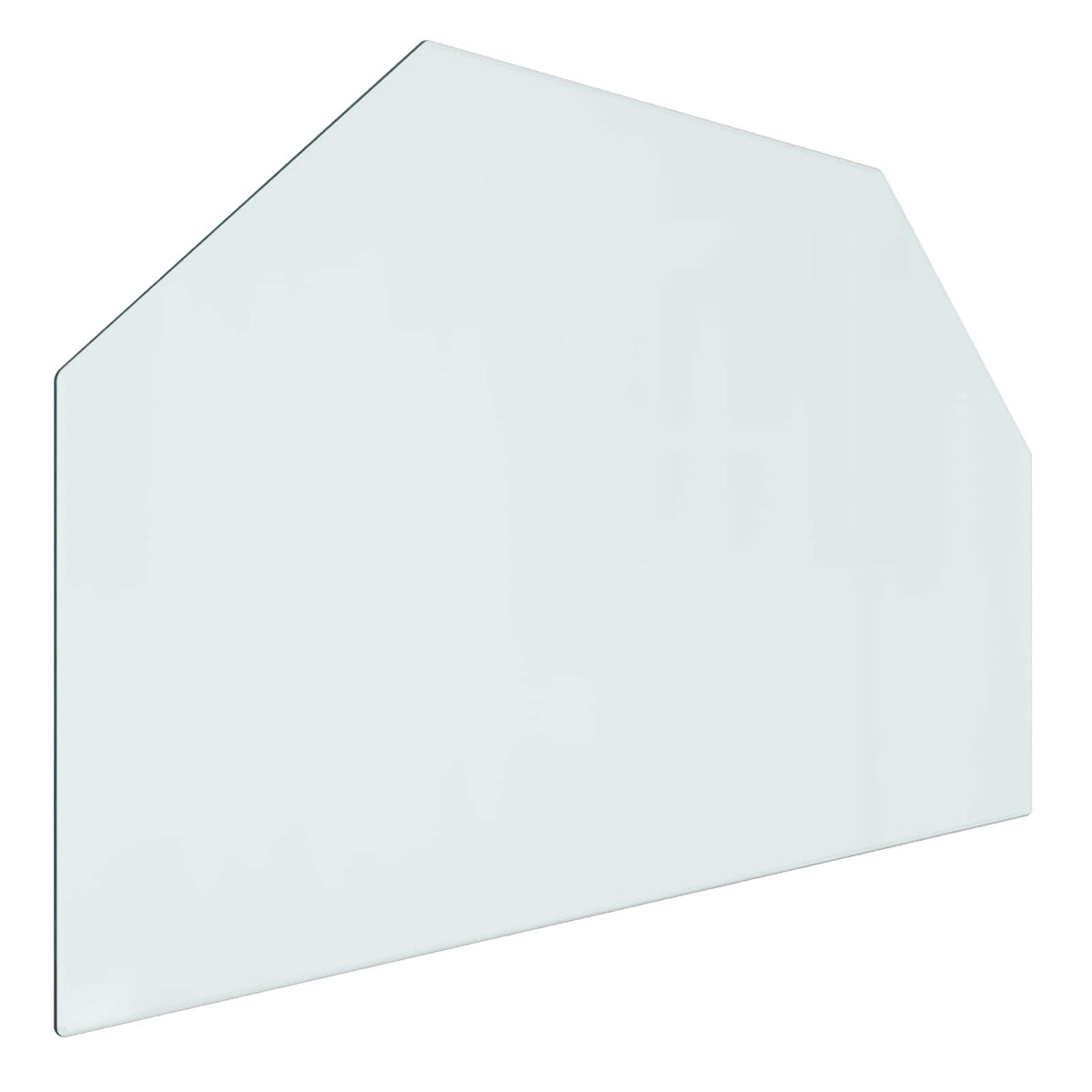 Pejs glasplade Transparent 80 x 50 cm Glas