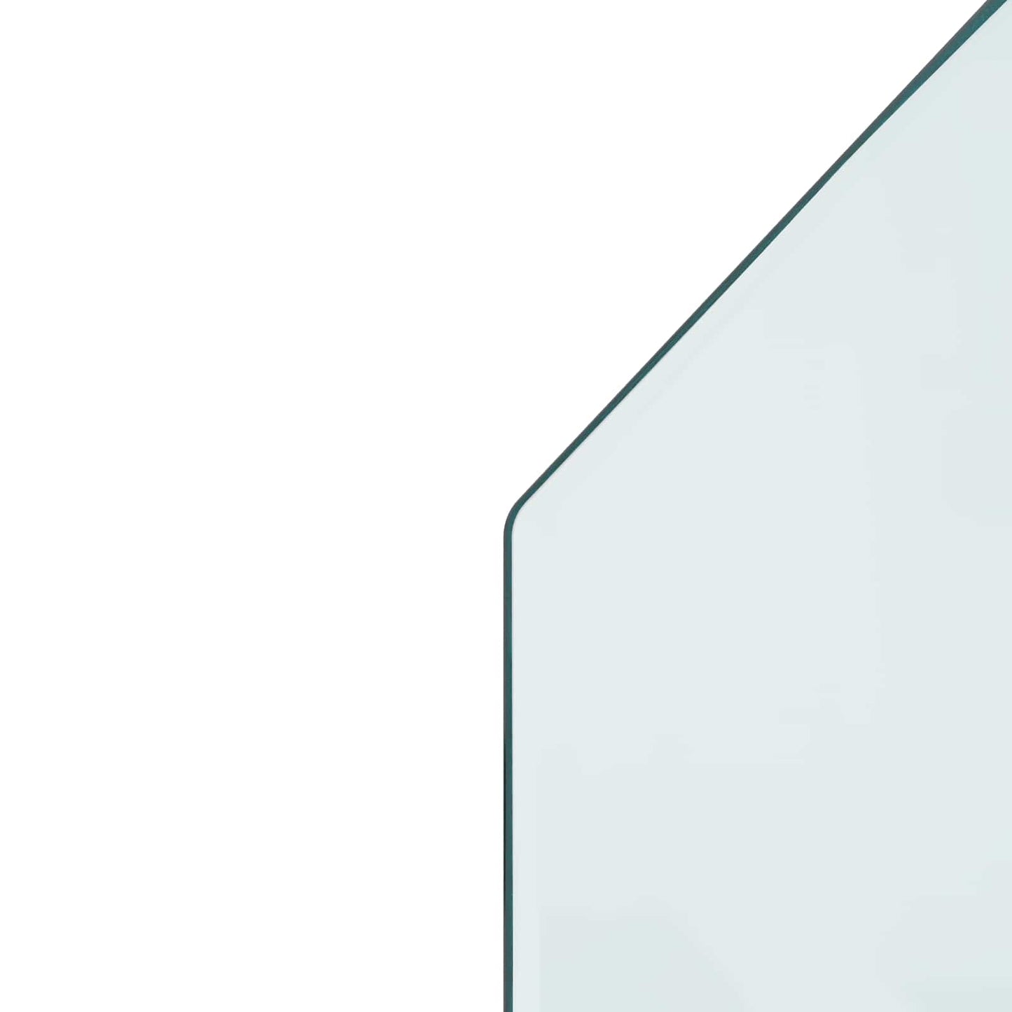 Pejs glasplade Transparent 100 x 50 cm Glas