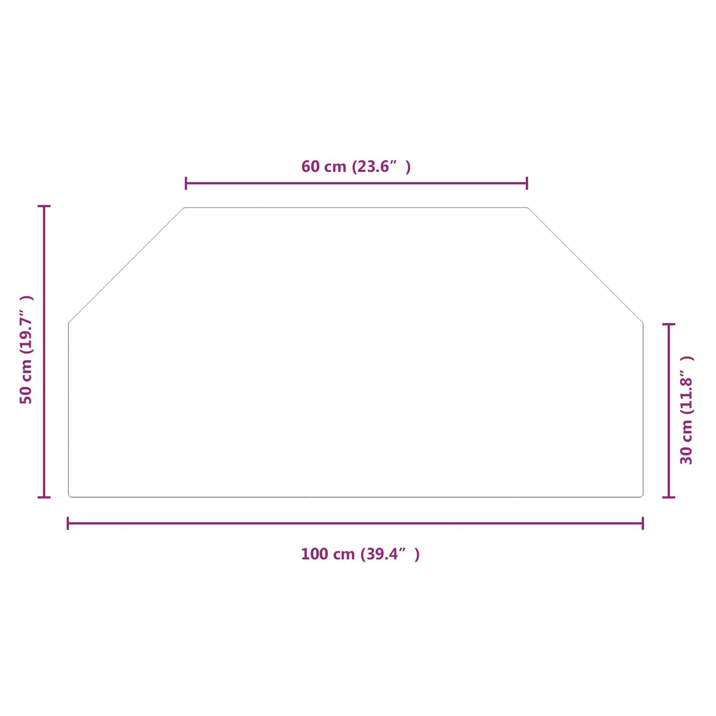 Pejs glasplade Transparent 100 x 50 cm Glas