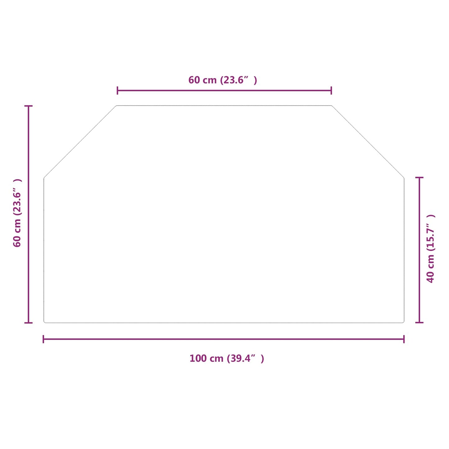Pejs glasplade Transparent 100 x 60 cm Glas