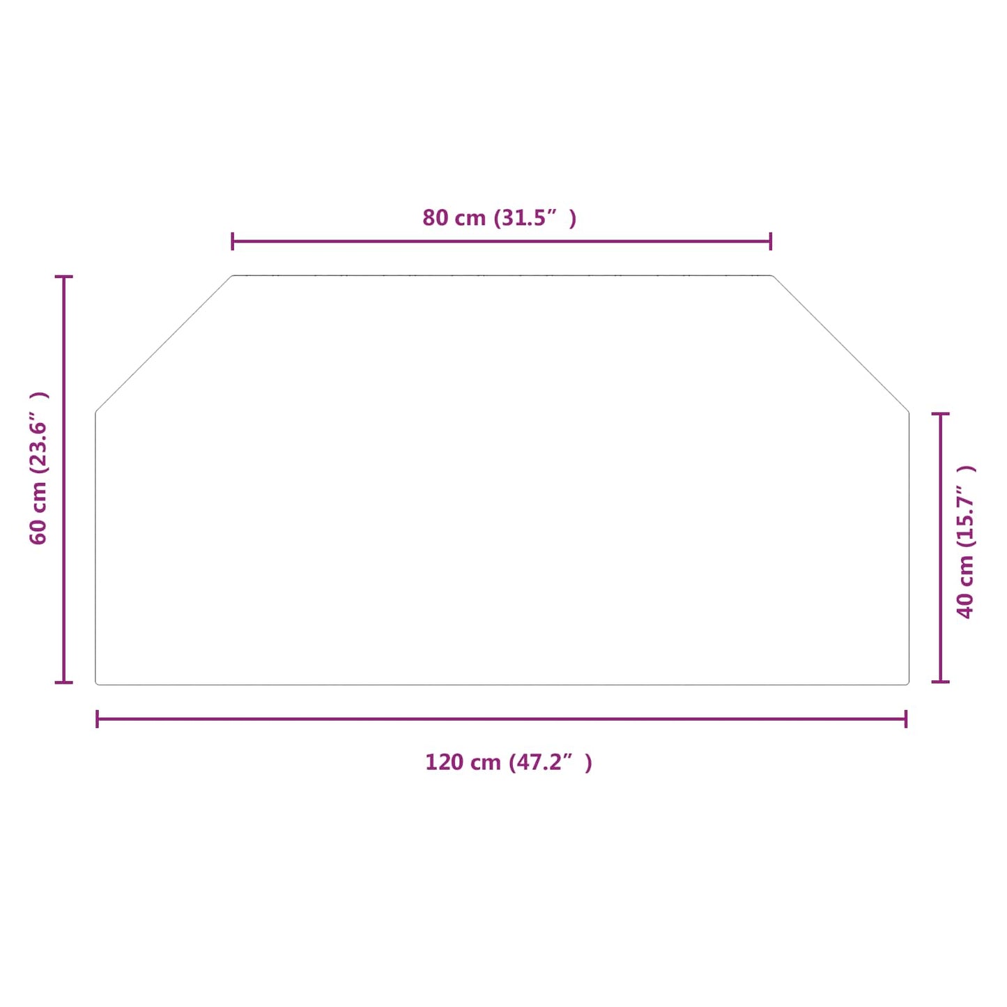 Pejs glasplade Transparent 120 x 60 cm Glas
