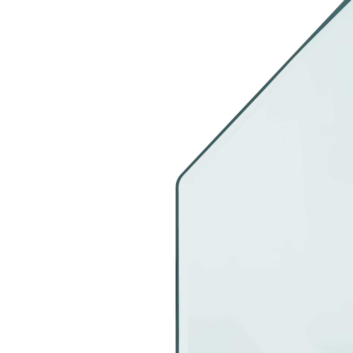Pejs glasplade Transparent 100 x 50 cm Glas