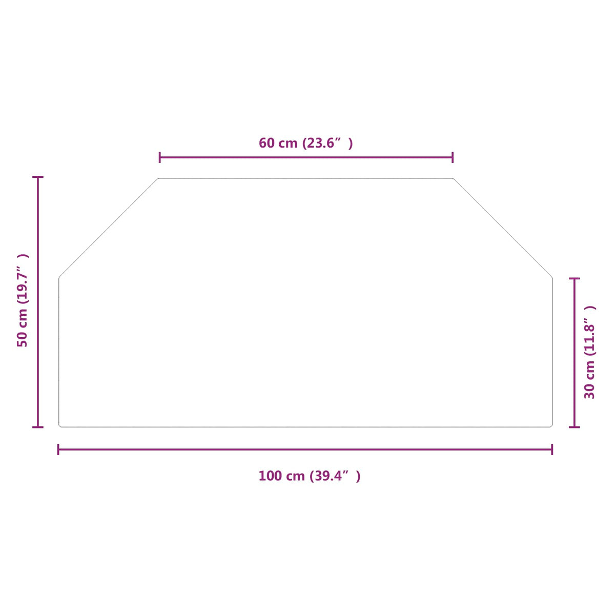 Pejs glasplade Transparent 100 x 50 cm Glas