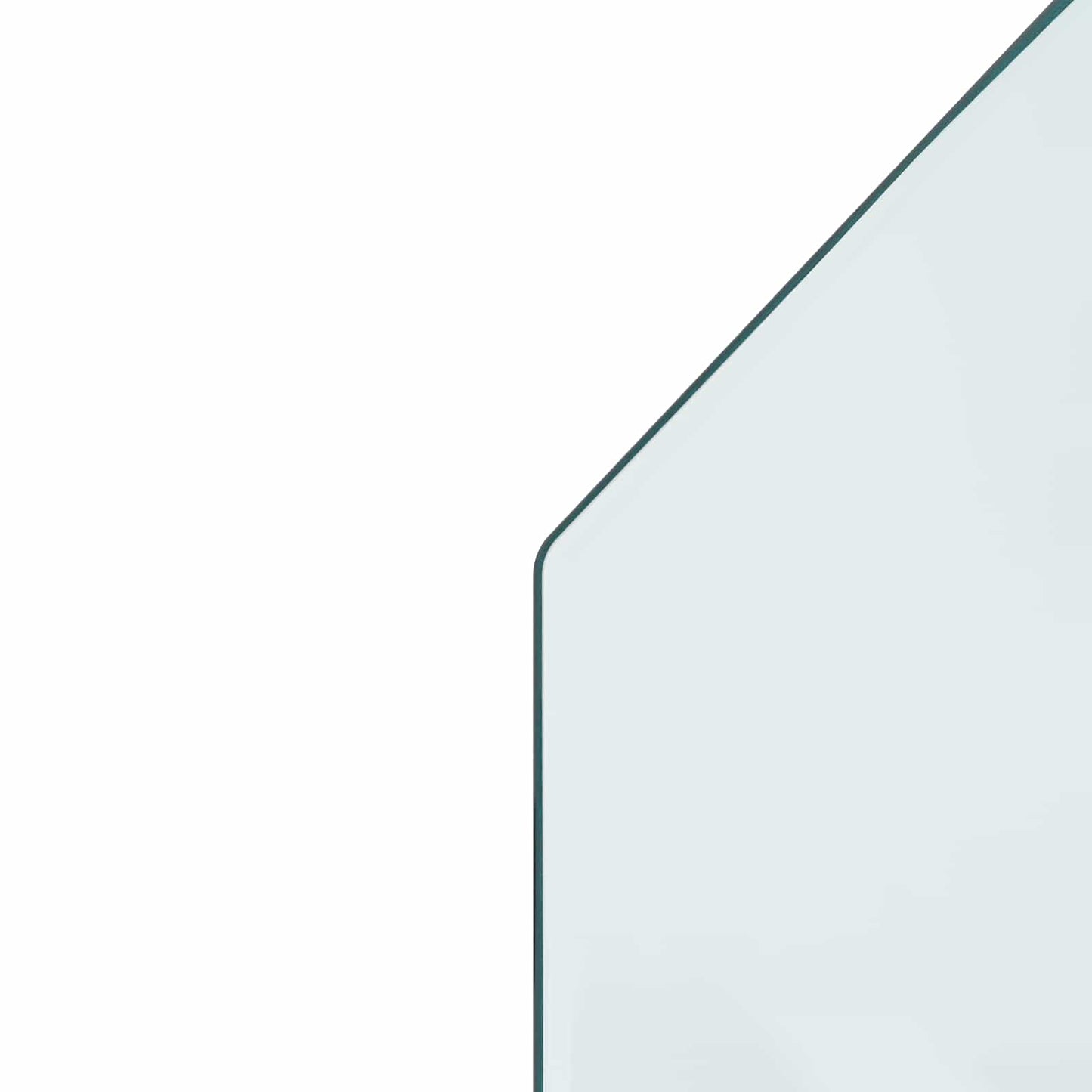 Pejs glasplade Transparent 100 x 60 cm Glas