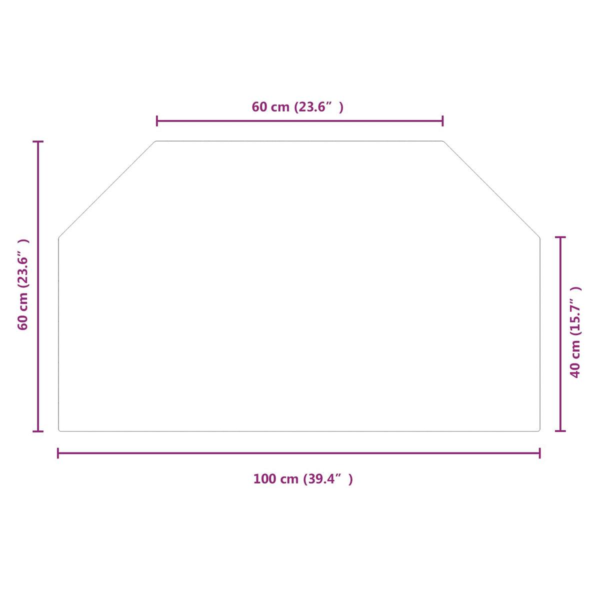 Pejs glasplade Transparent 100 x 60 cm Glas