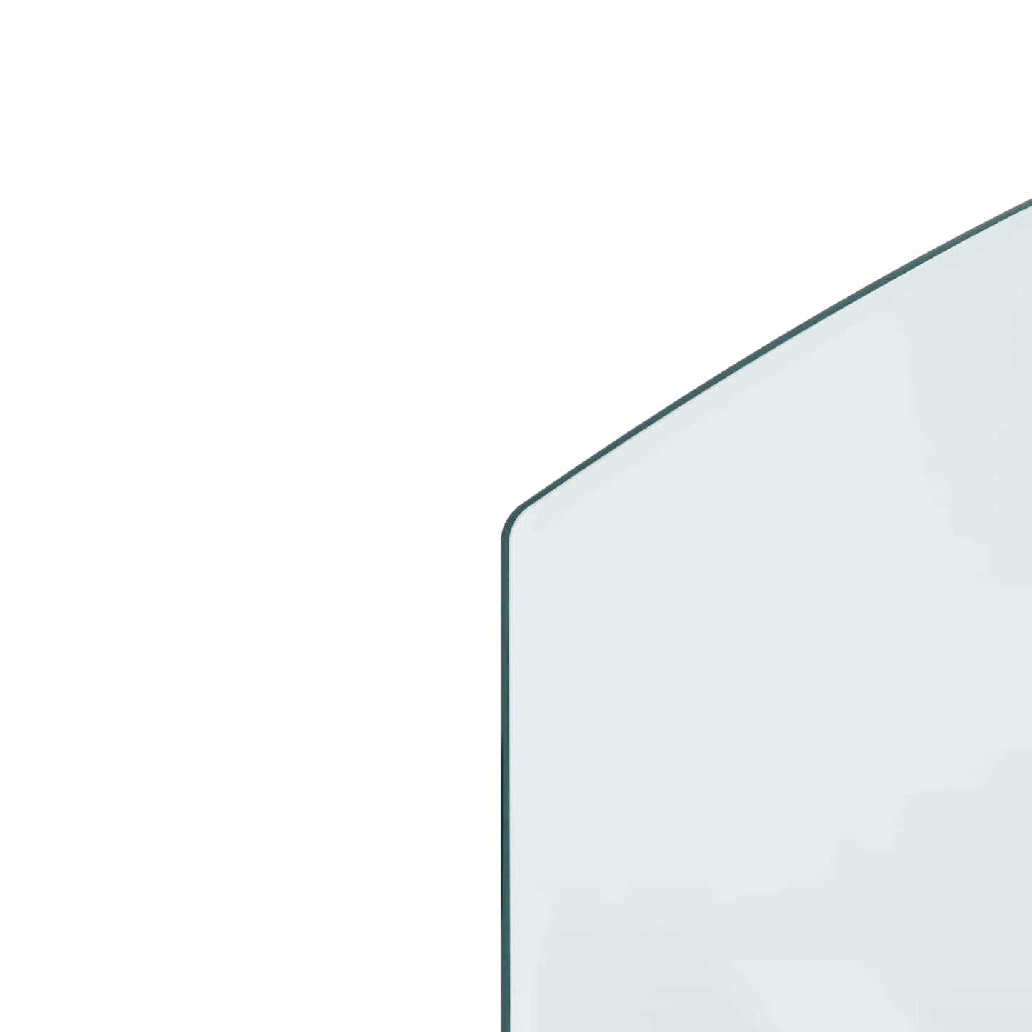 Pejs glasplade Transparent 100 x 60 cm Glas