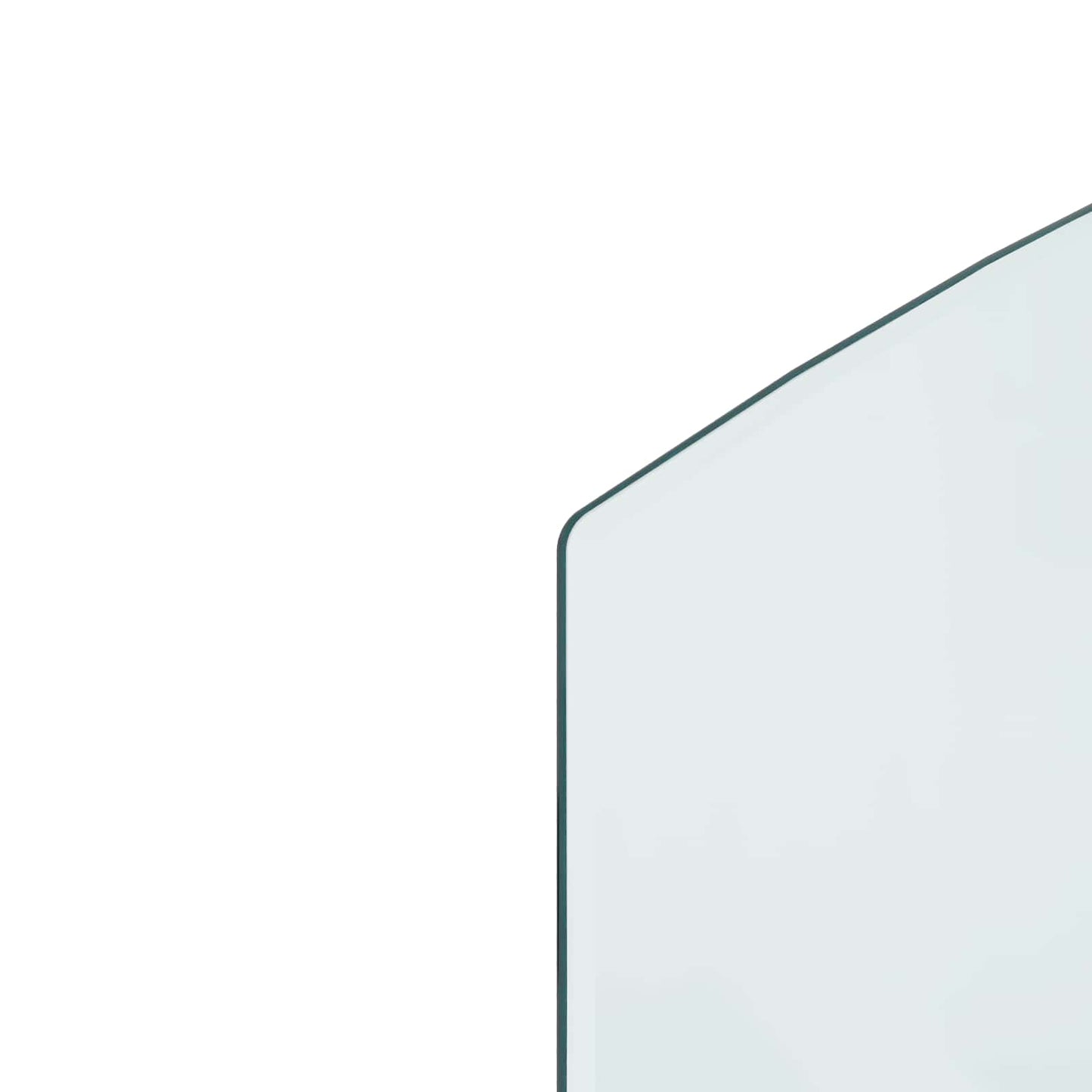 Pejs glasplade Transparent 100 x 50 cm Glas