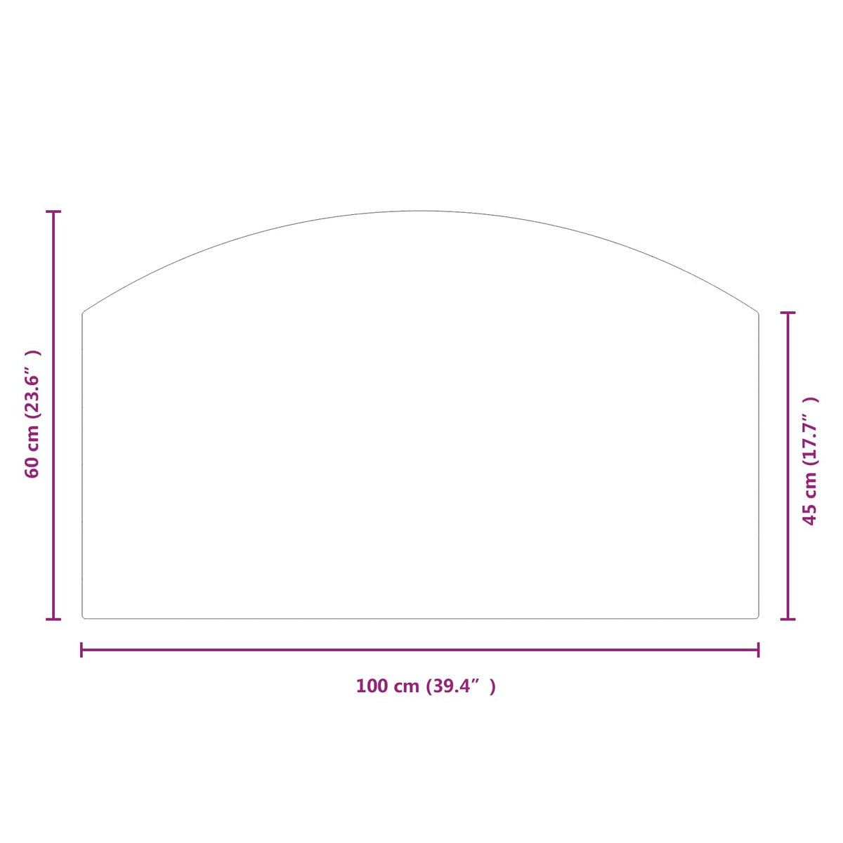 Pejs glasplade Transparent 100 x 60 cm Glas