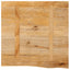 bordplade 60x60x2,5 cm naturlig kant massivt mangotræ