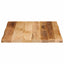 bordplade 40x40x2,5 cm naturlig kant massivt ru mangotræ