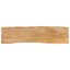 bordplade 160x40x3,8 cm naturlig kant massivt mangotræ