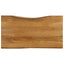 bordplade 120x60x3,8 cm naturlig kant massivt mangotræ