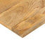 bordplade 100x80x2,5 cm rektangulær massivt mangotræ