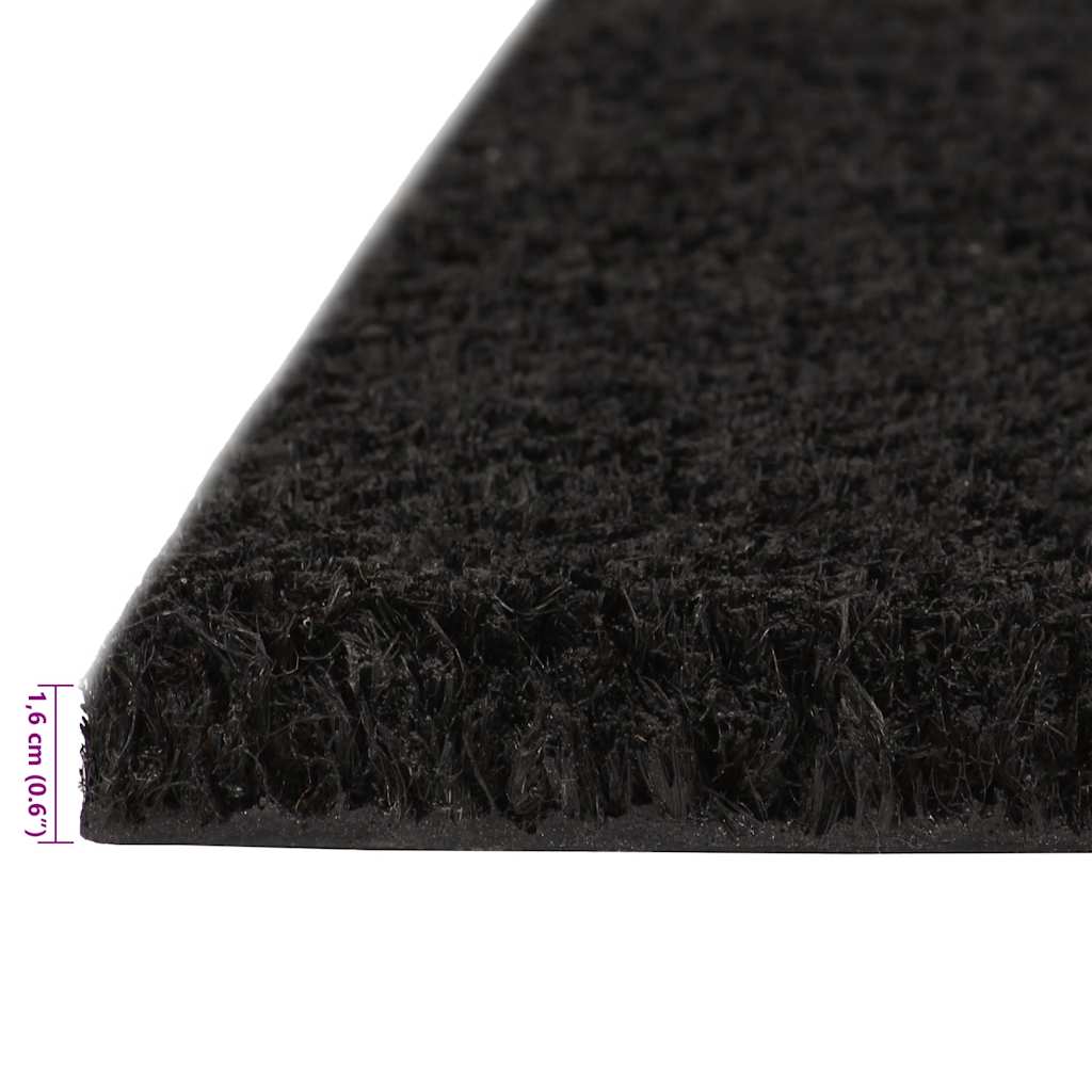 dørmåtte 40x60 cm tuftet coir sort