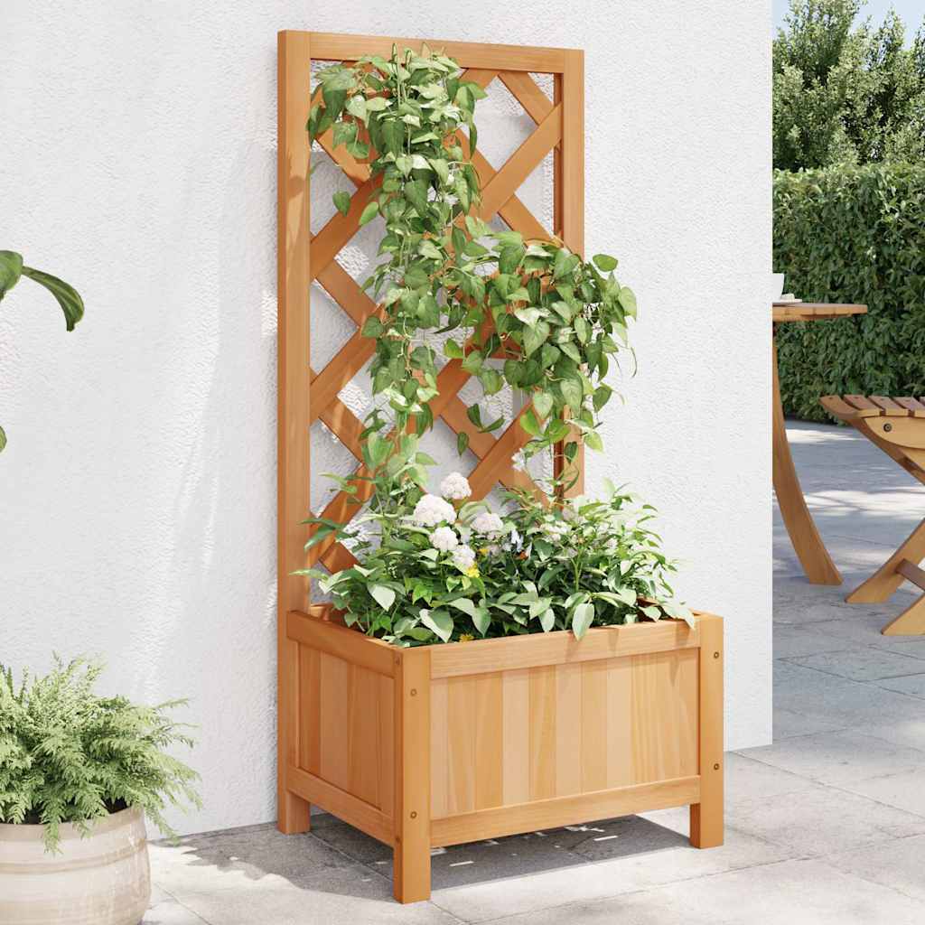 plantekasse med espalier brun 40x30x90 cm massivt grantræ