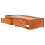 daybed uden madras 75x190 cm massivt fyrretræ gyldenbrun