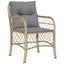 spisebordssæt til haven 5 dele med hynder polyrattan beige
