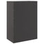 skab 67x39x95 cm stål sort